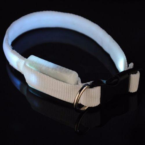 Premium Glow-In-The-Dark LED Safety Collar