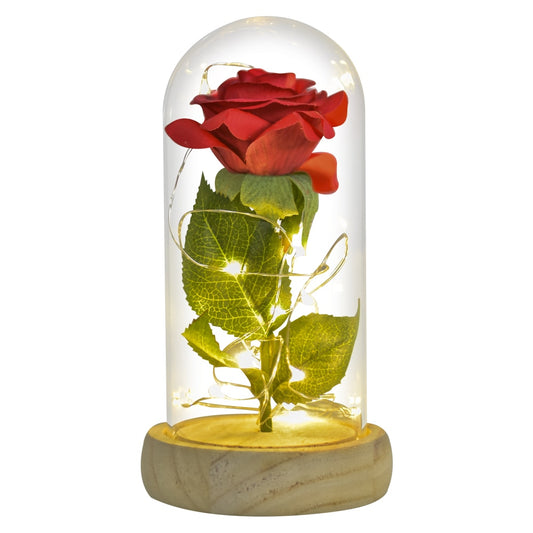 LED Eternal Rose With Fairy String Lights