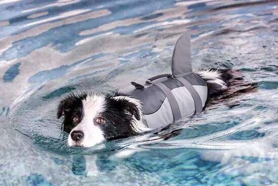 Dog Swimming Vest