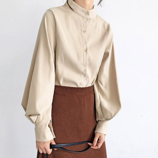 Big Lantern Sleeve Blouse