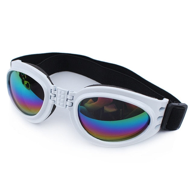 Dog Sunglasses