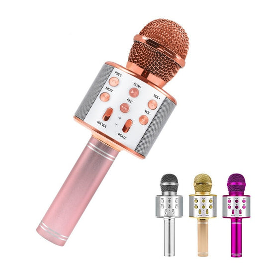 Bluetooth Karaoke Microphone