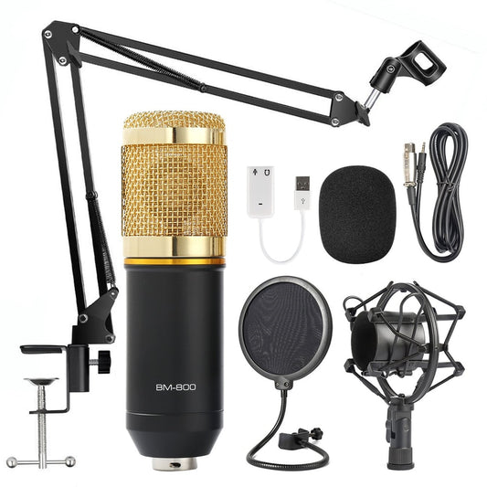 Karaoke Microphone BM800 Studio