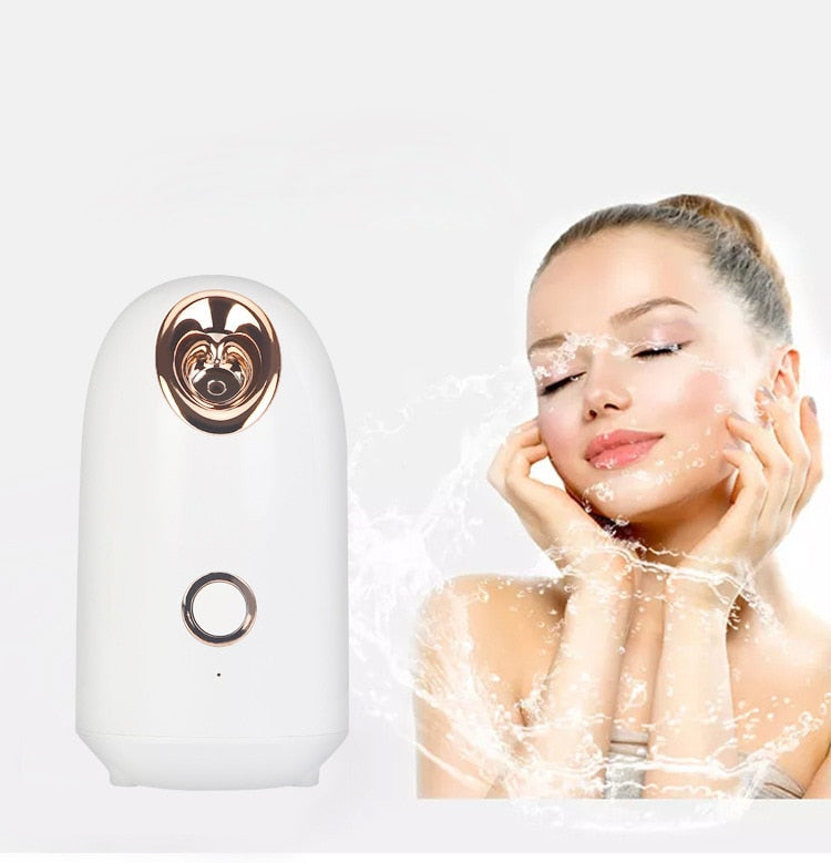 Steamer Facial Cleaner