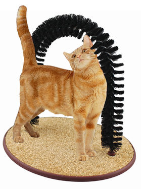 Arch Pet Cat Self Groomer Tool