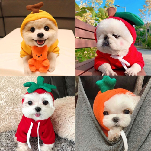 Pet Clothes Costumes